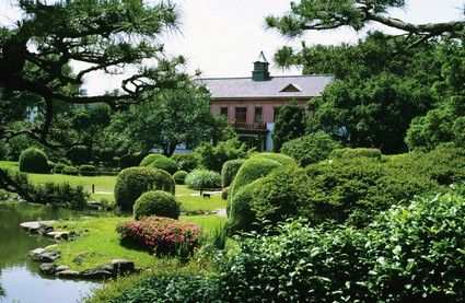 東京大学附属植物園の画像