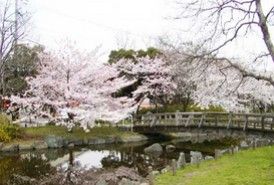 東綾瀬公園の画像