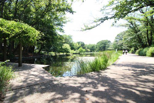 せせらぎ公園の画像