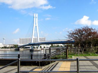 東雲水辺公園の画像