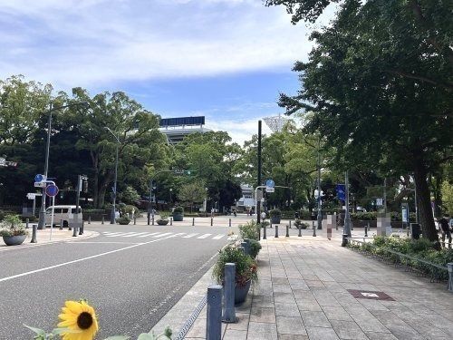 横浜公園（日本大通り側）の画像