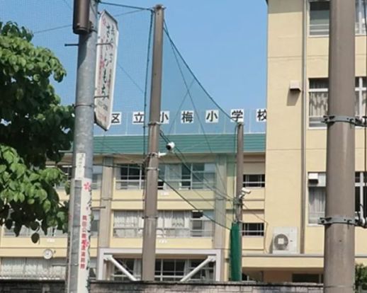 墨田区立小梅小学校の画像