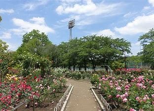 光綾公園の画像