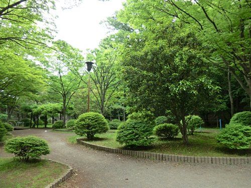 秋津公園の画像