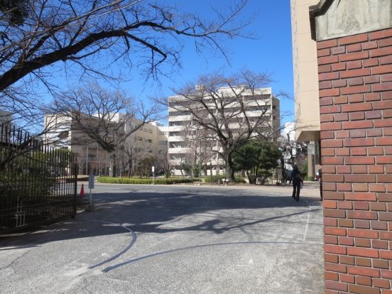 日本女子大学の画像