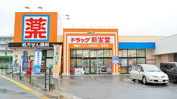 新生堂薬局 雑餉隈店の画像