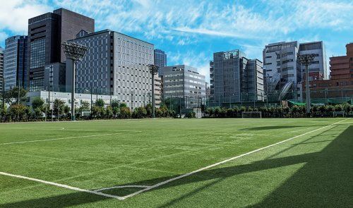 文京区小石川運動場の画像