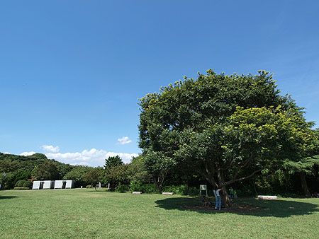 本牧山頂公園の画像