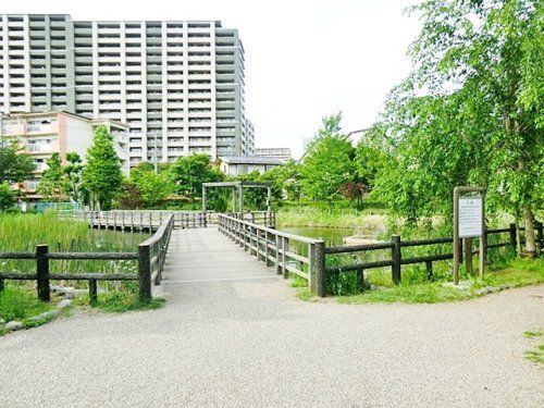 西東京いこいの森公園の画像
