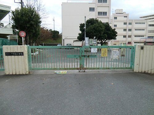 横浜市立下野庭小学校の画像