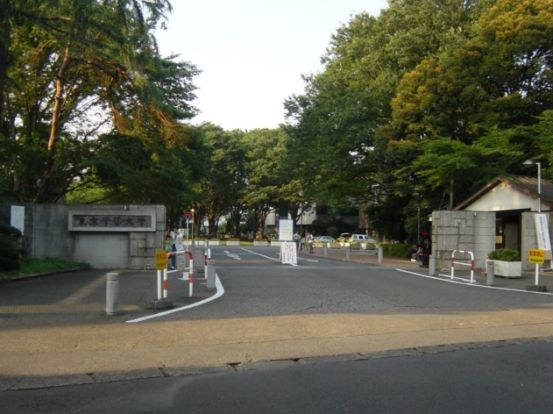 東京学芸大学の画像