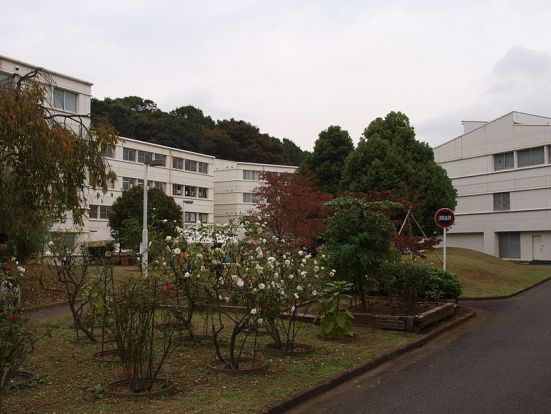 日本女子大学　西生田キャンパスの画像
