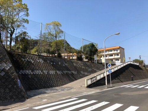 鹿児島市立向陽小学校の画像