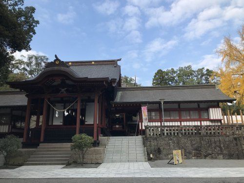 鹿児島神宮の画像