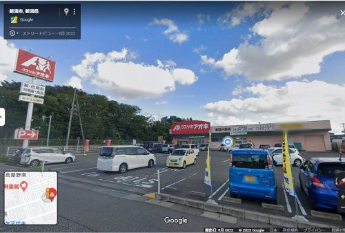 クスリのアオキ 新潟大島店の画像