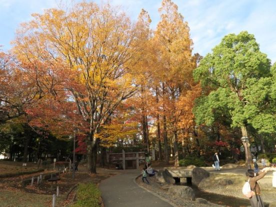 蚕糸の森公園の画像