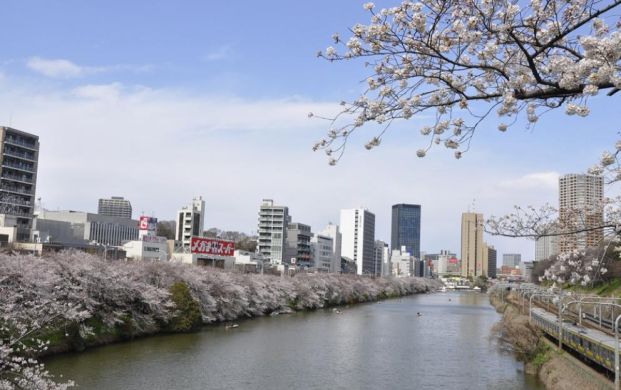 外濠公園の画像