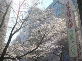 日本経済大学 東京渋谷キャンパスの画像