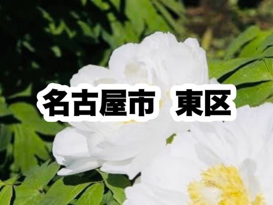 東区役所|名古屋市東区の画像