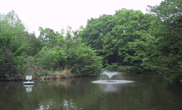 和田堀公園の画像