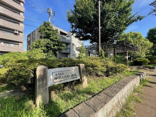 練馬区立神明ふれあい緑地の画像