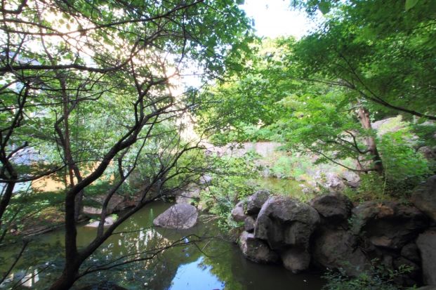 紅葉山公園の画像