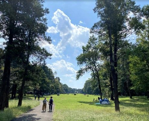 野川緑地公園の画像