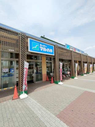 マルハチ　大正店の画像