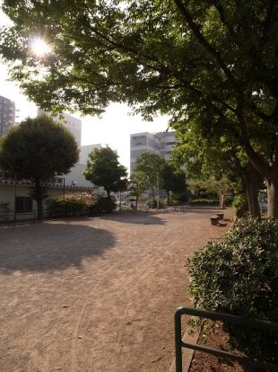 新浜公園の画像