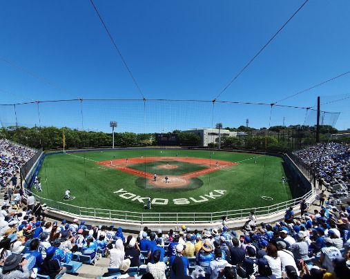 横須賀スタジアムの画像