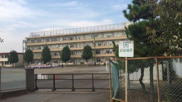 市川市立柏井小学校の画像