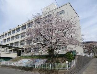 横浜市立西柴小学校の画像