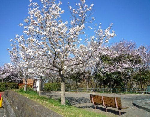 能見台東公園の画像