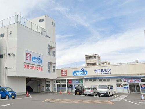 ウエルシア小田原寿町店の画像