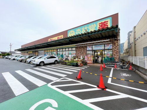 杏林堂薬局 静岡山崎店の画像