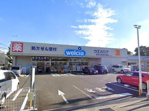 ウエルシア海老名東柏ケ谷店の画像