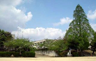 吹田市立桃山台小学校の画像