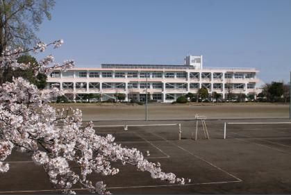 大宮中学校の画像