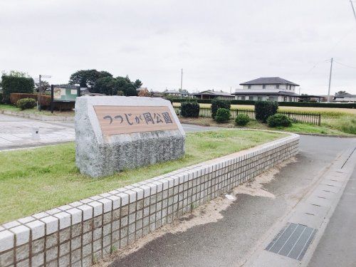 つつじが岡公園の画像