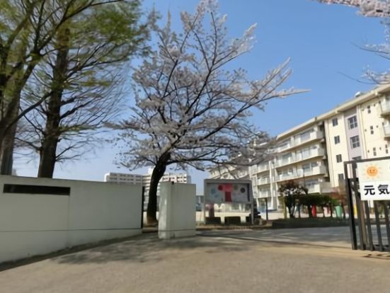 横須賀小学校の画像