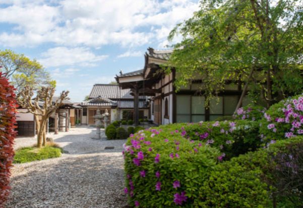 東福寺の画像