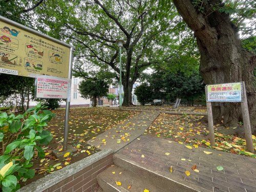 練馬区立南田柄緑地の画像