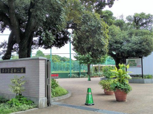 文京区立 目白台運動公園の画像