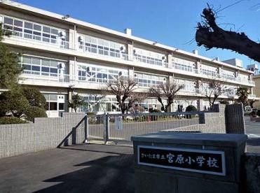 さいたま市立宮原小学校の画像