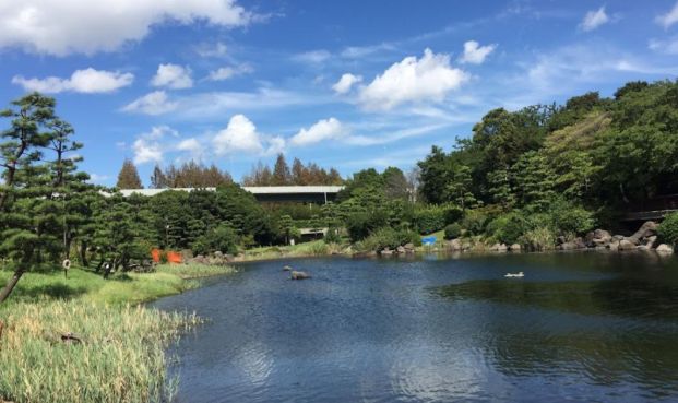 しながわ区民公園の画像