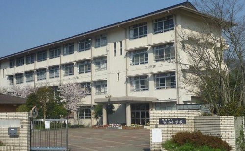 姫路市立谷内小学校の画像