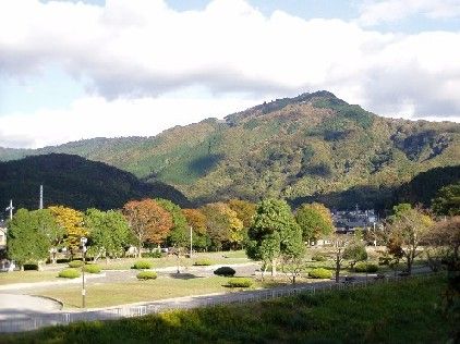 宝が池公園の画像