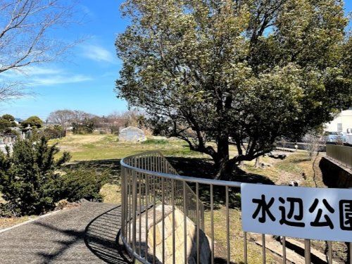 水辺公園の画像