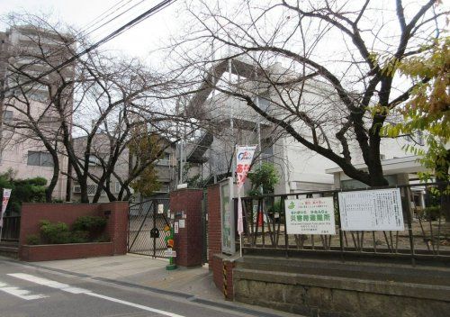 丸山小学校の画像