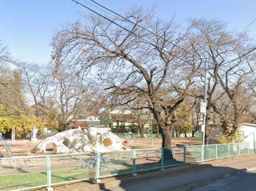 桜ヶ丘公園の画像